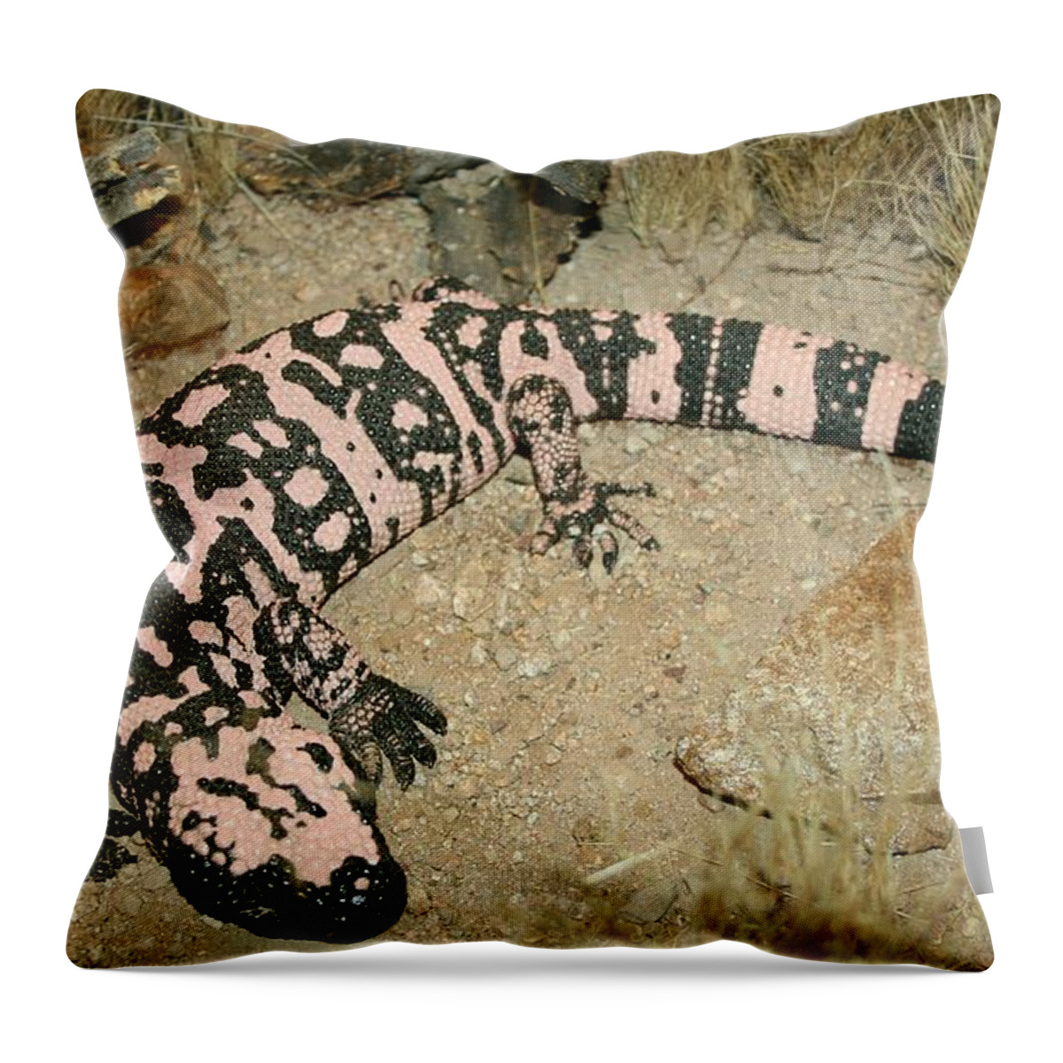 Gila Monster Throw Pillow featuring the photograph Gila Monster by Christiane Schulze Art And Photography