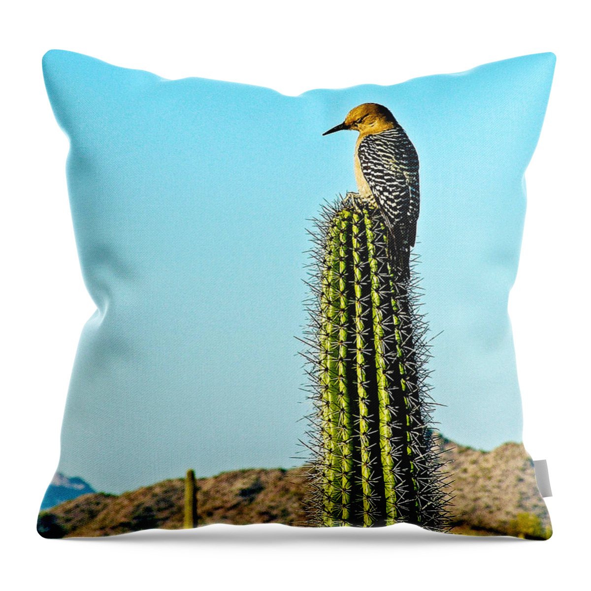 Gila Woodpecker On Saguaro Cactus In Organ Pipe Cactus National Monument Throw Pillow featuring the photograph Gila Woodpecker on Saguaro in Organ Pipe Cactus National Monument-Arizona by Ruth Hager