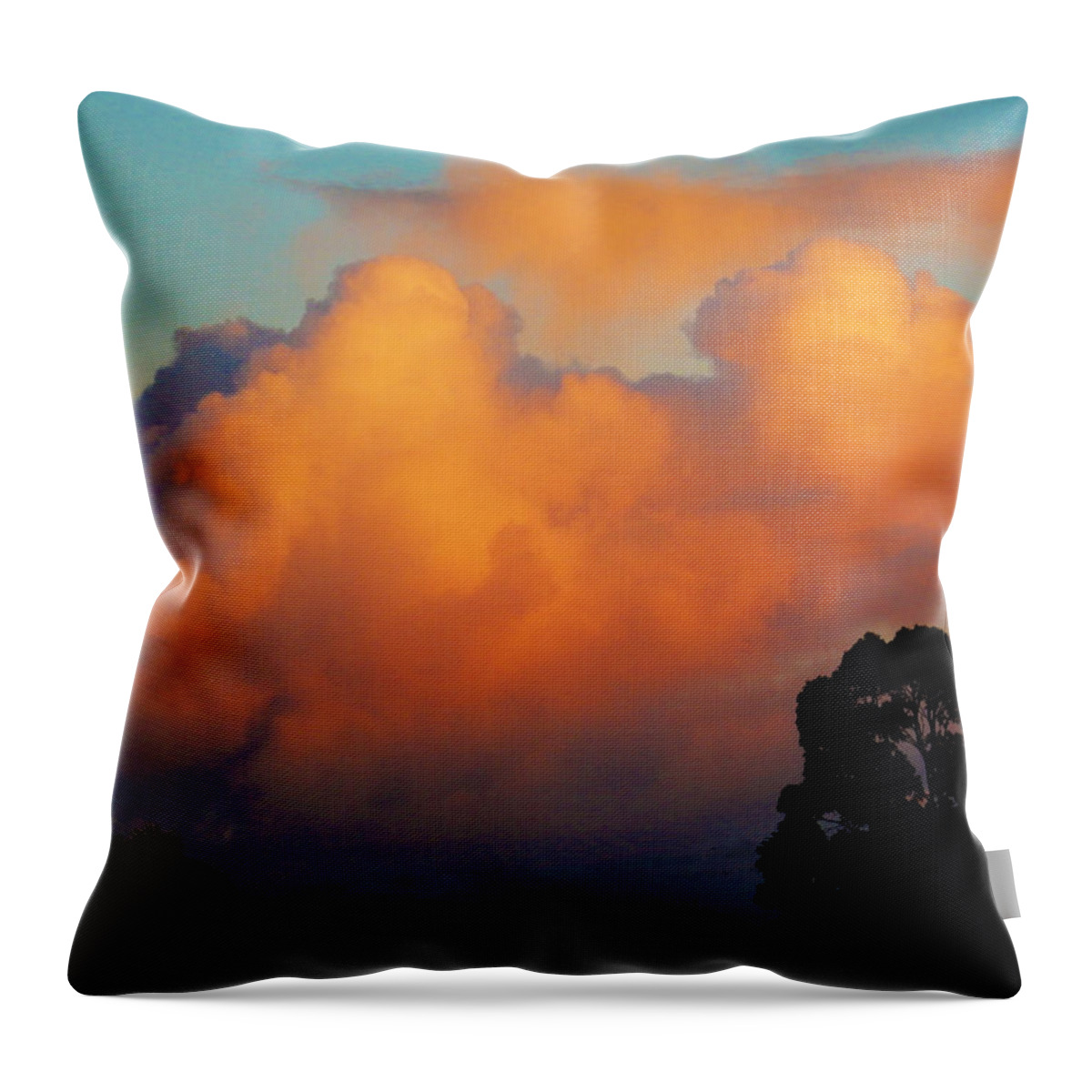 Sunrise Throw Pillow featuring the photograph Gilded Dawn by Mark Blauhoefer
