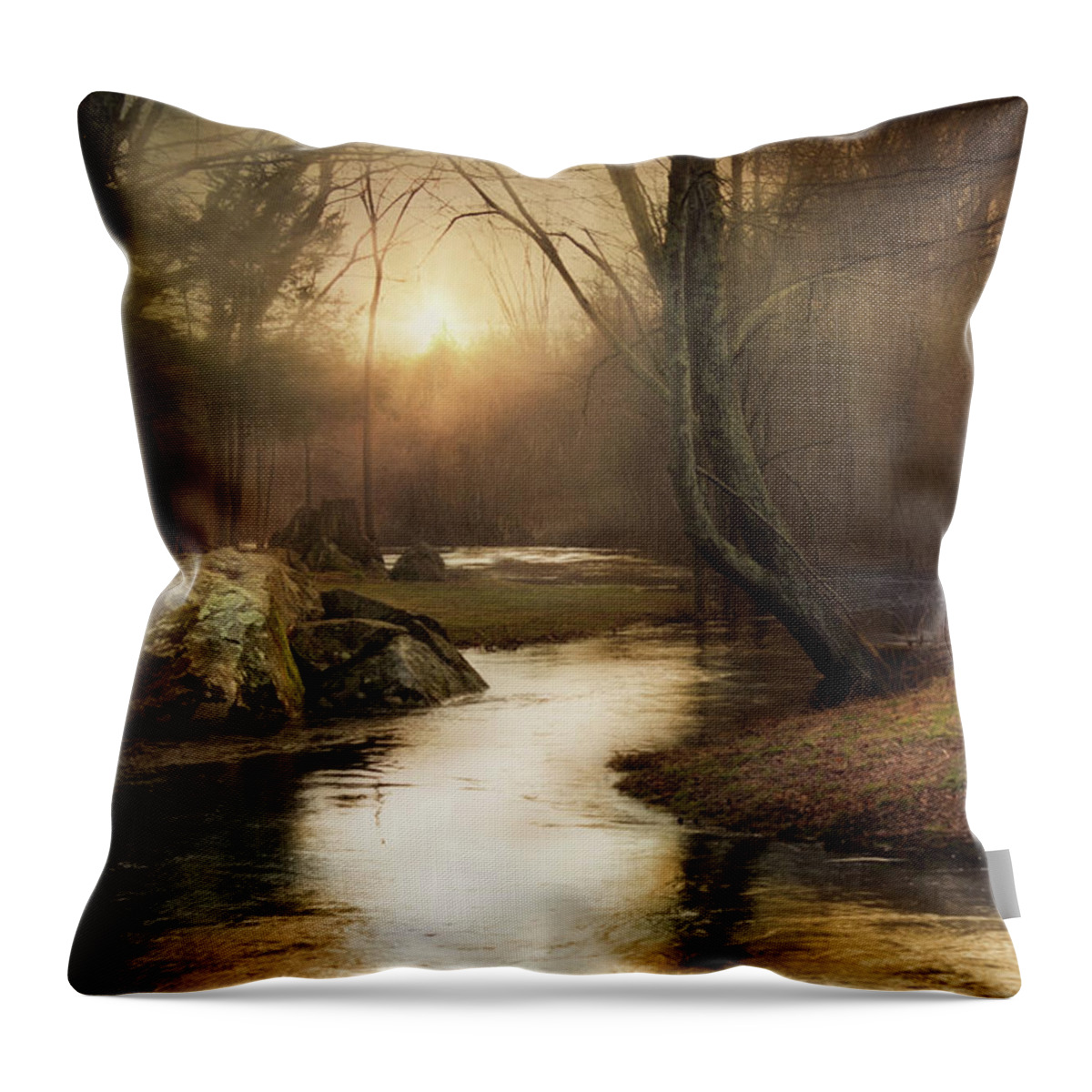 Woodland Throw Pillow featuring the photograph Gilded Woodland by Robin-Lee Vieira
