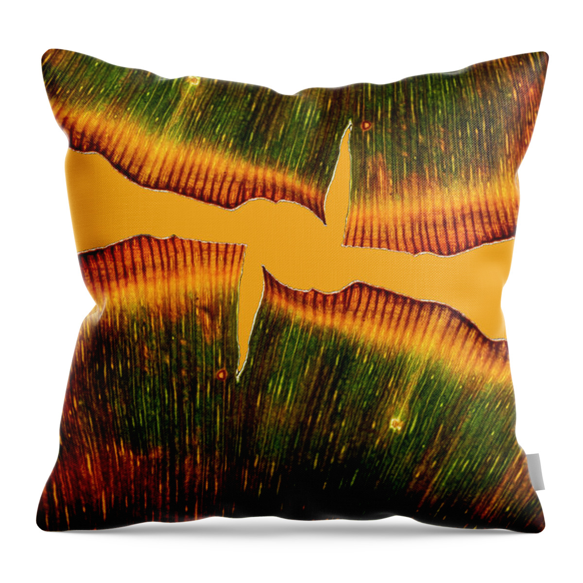 Ginkgo Leaves Throw Pillow featuring the photograph Ginkgo Abstraction by Garry McMichael