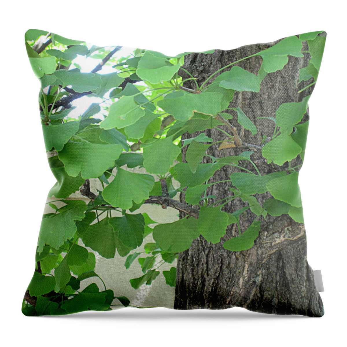 Ginkgo Throw Pillow featuring the photograph Ginko Leaves by Brandy Woods