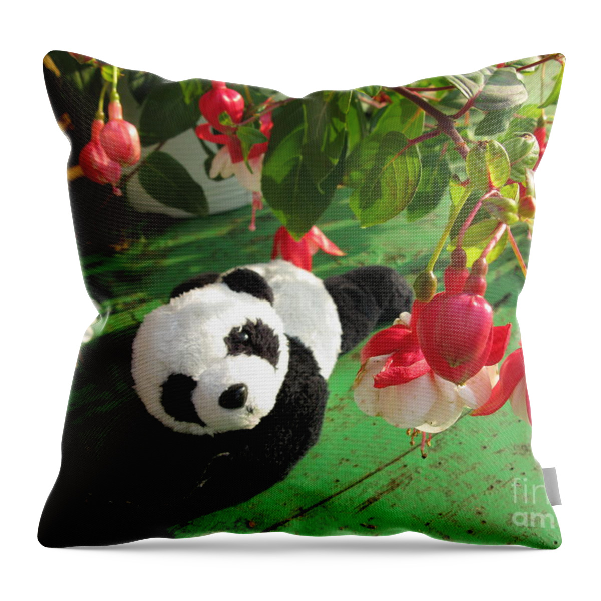 Baby Panda Throw Pillow featuring the photograph Ginny Under The Red And White Fuchsia by Ausra Huntington nee Paulauskaite