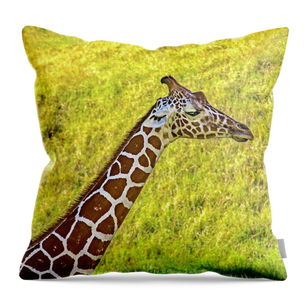 African Throw Pillow featuring the photograph Giraffe by Roslyn Wilkins