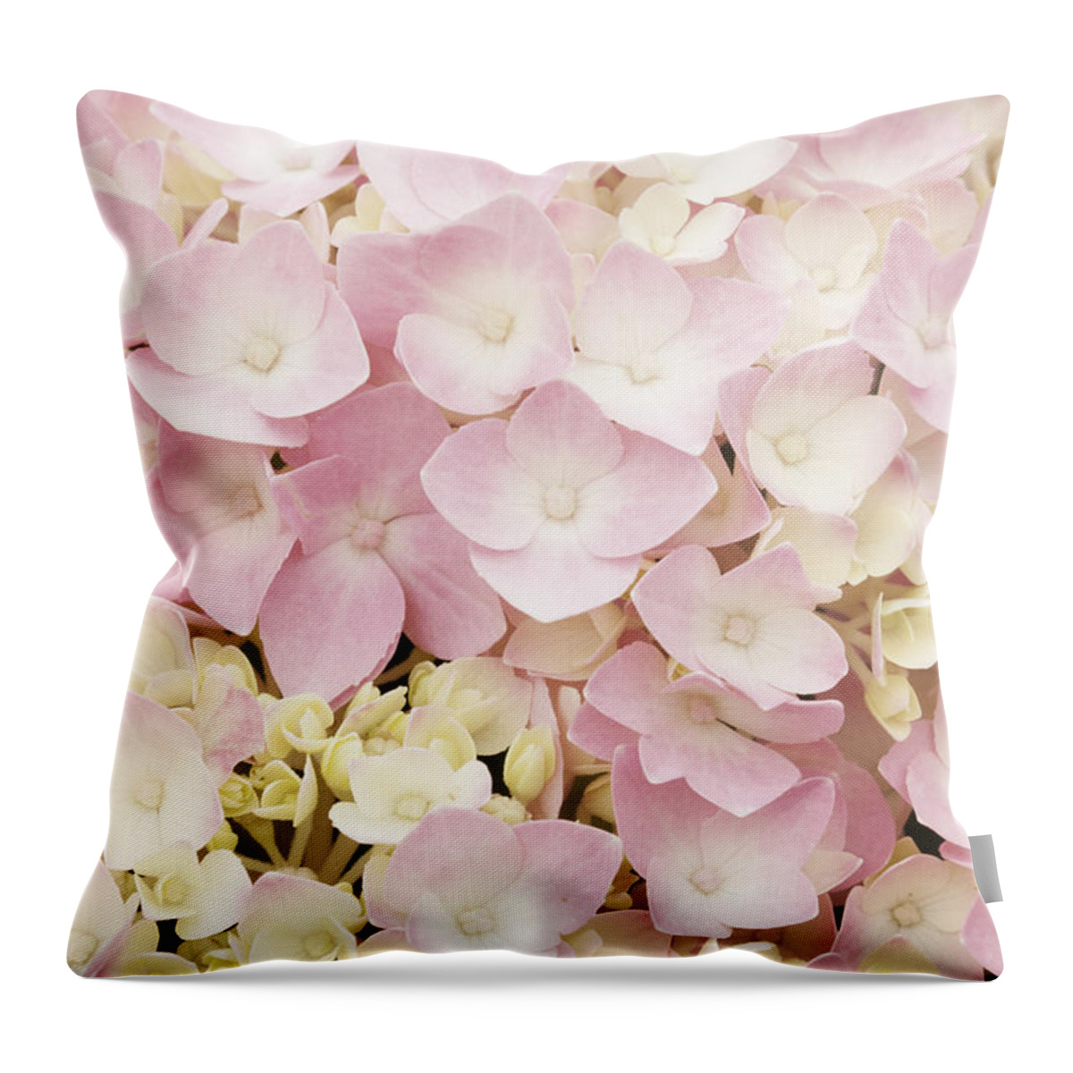 Girly Girl Throw Pillow featuring the photograph Girly Girl by Patty Colabuono