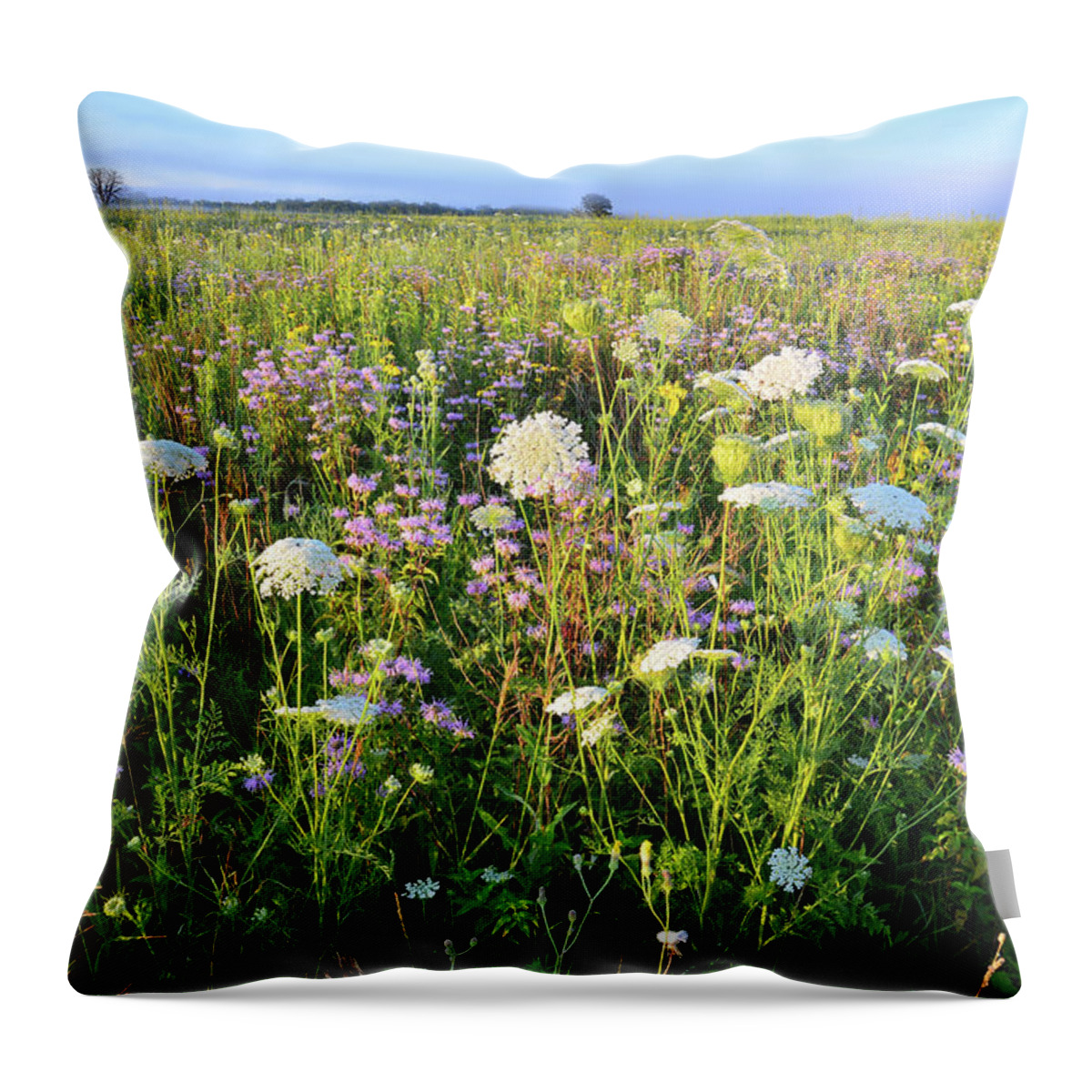 Black Eyed Susan Throw Pillow featuring the photograph Glacial Park Wildflower Prairie by Ray Mathis