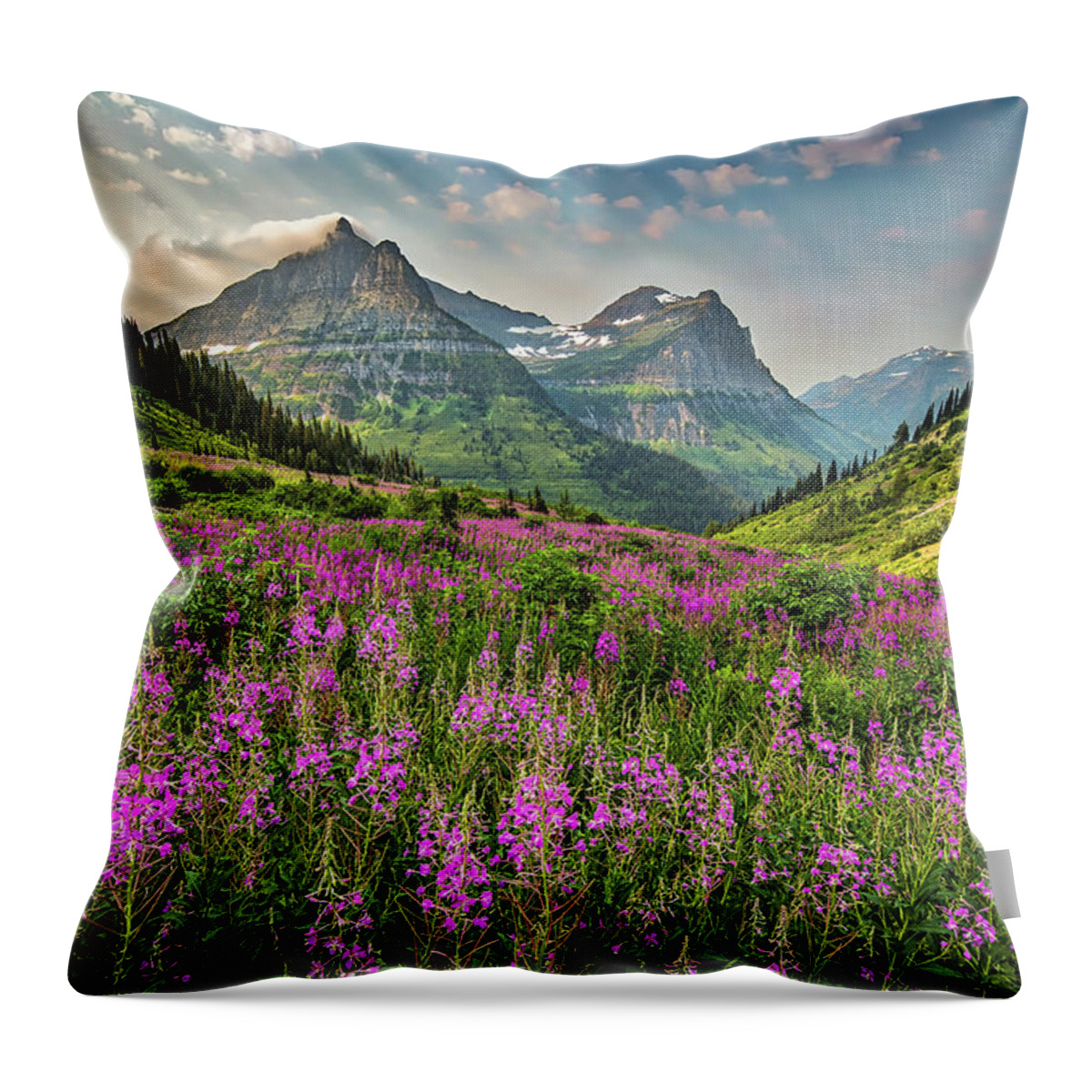 Glacier Throw Pillow featuring the photograph Glacier Meadow by Peter Tellone