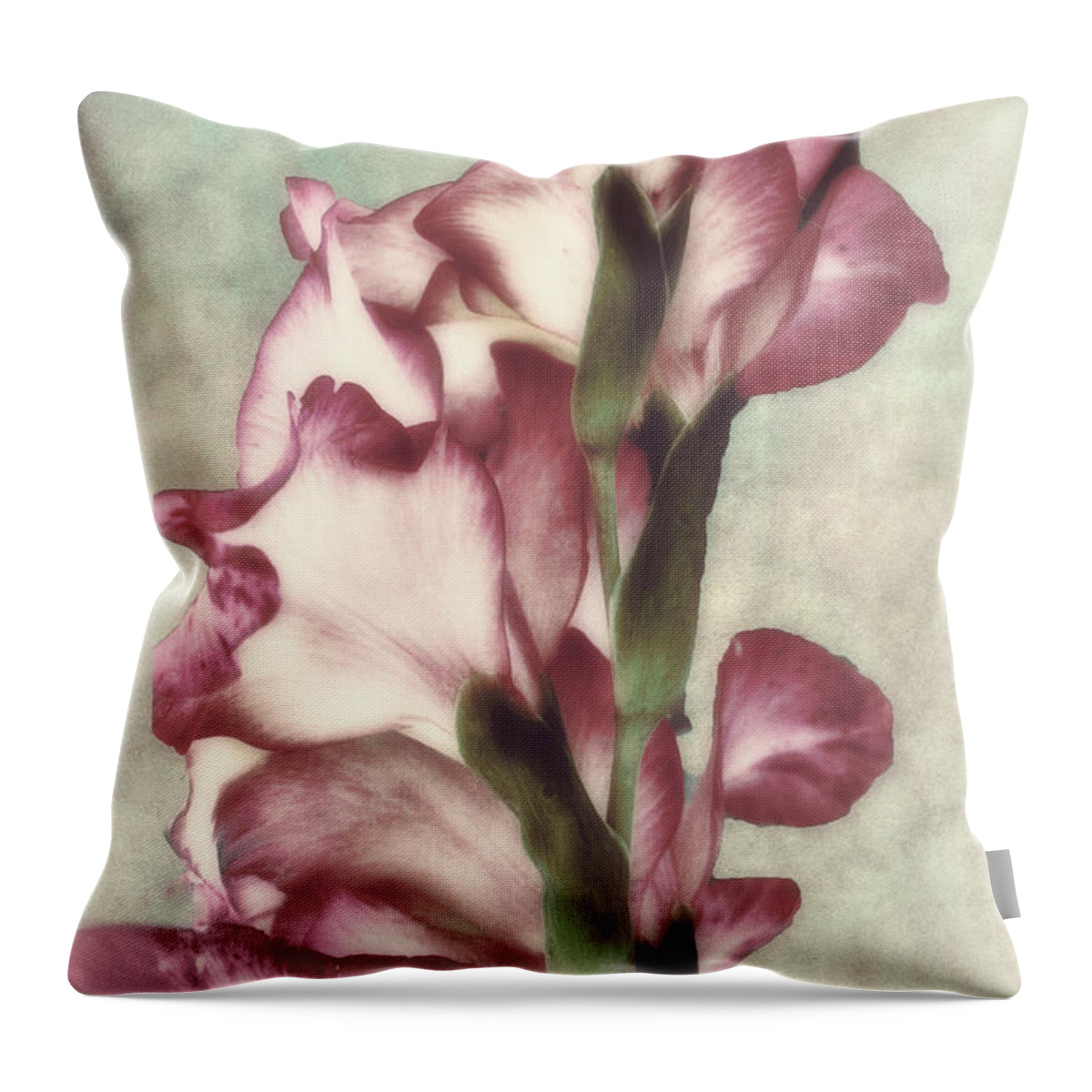 Gladiola Throw Pillow featuring the painting Gladiola by Mindy Sommers