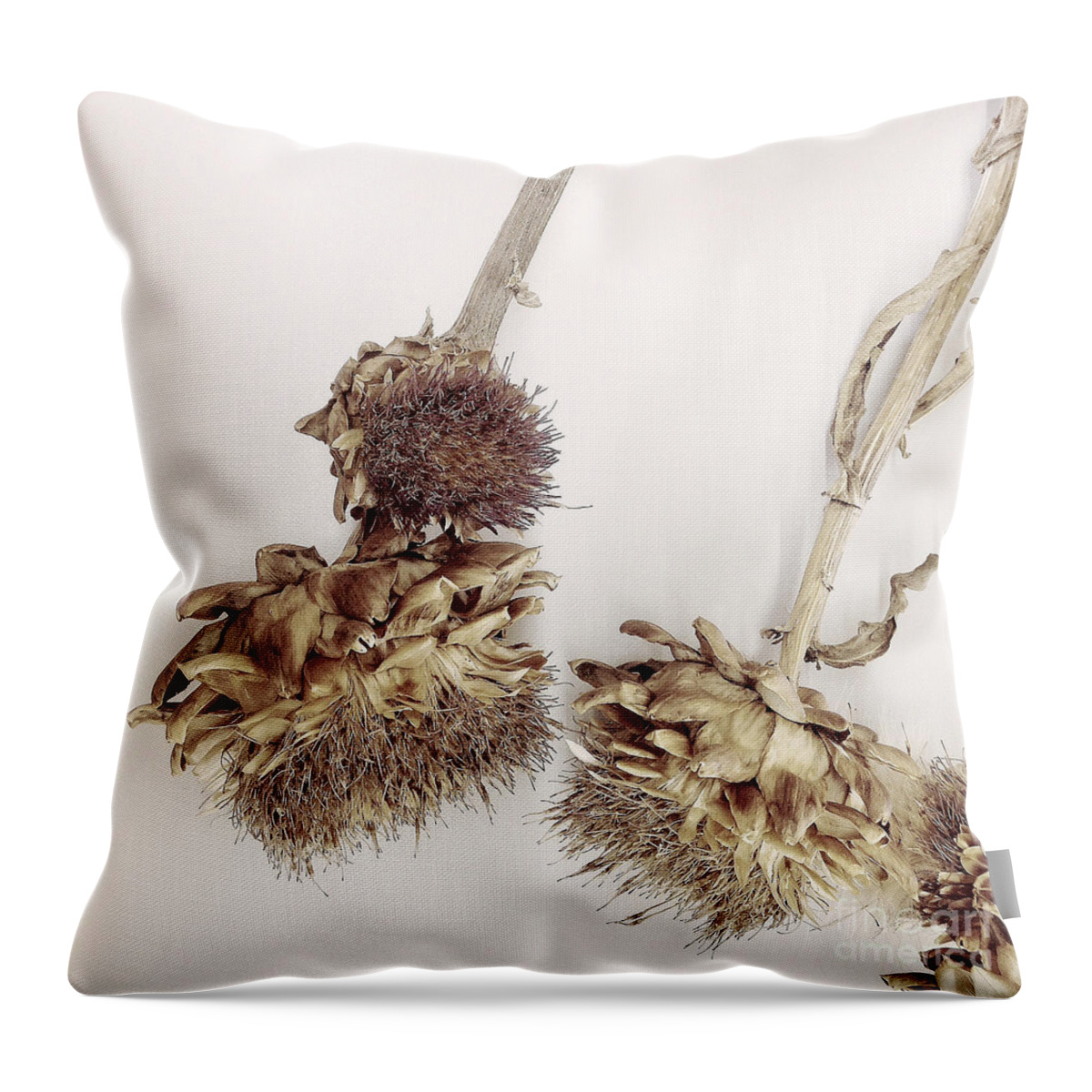 Thistle Throw Pillow featuring the photograph Glasgow by Linda Lees
