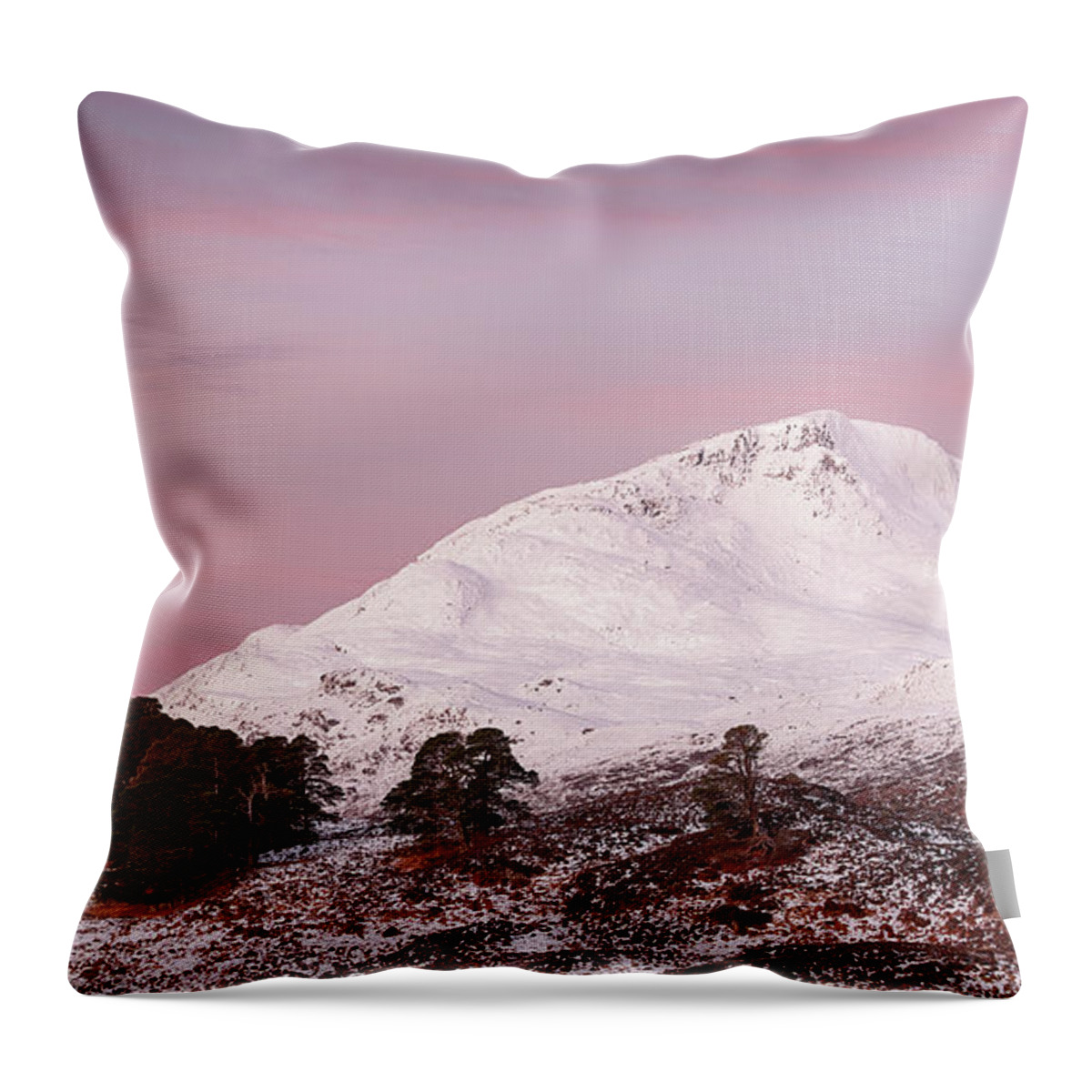 Glen Affric Throw Pillow featuring the photograph Glen Affric Sunrise by Grant Glendinning