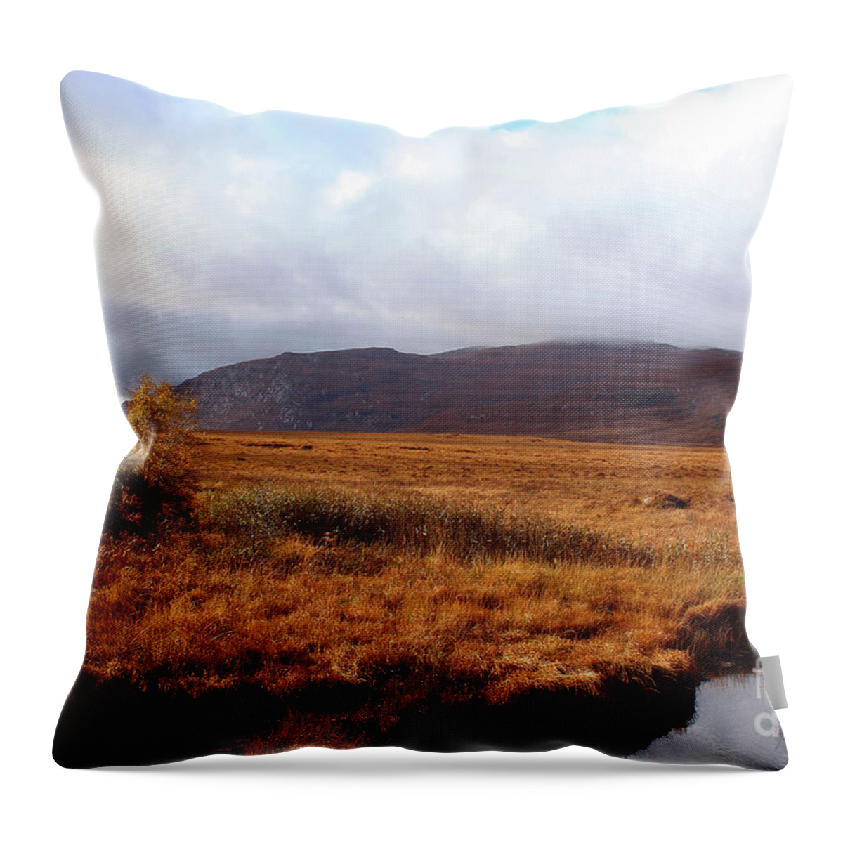 Eddie Barron Throw Pillow featuring the photograph Wide Open Space Donegal Ireland by Eddie Barron