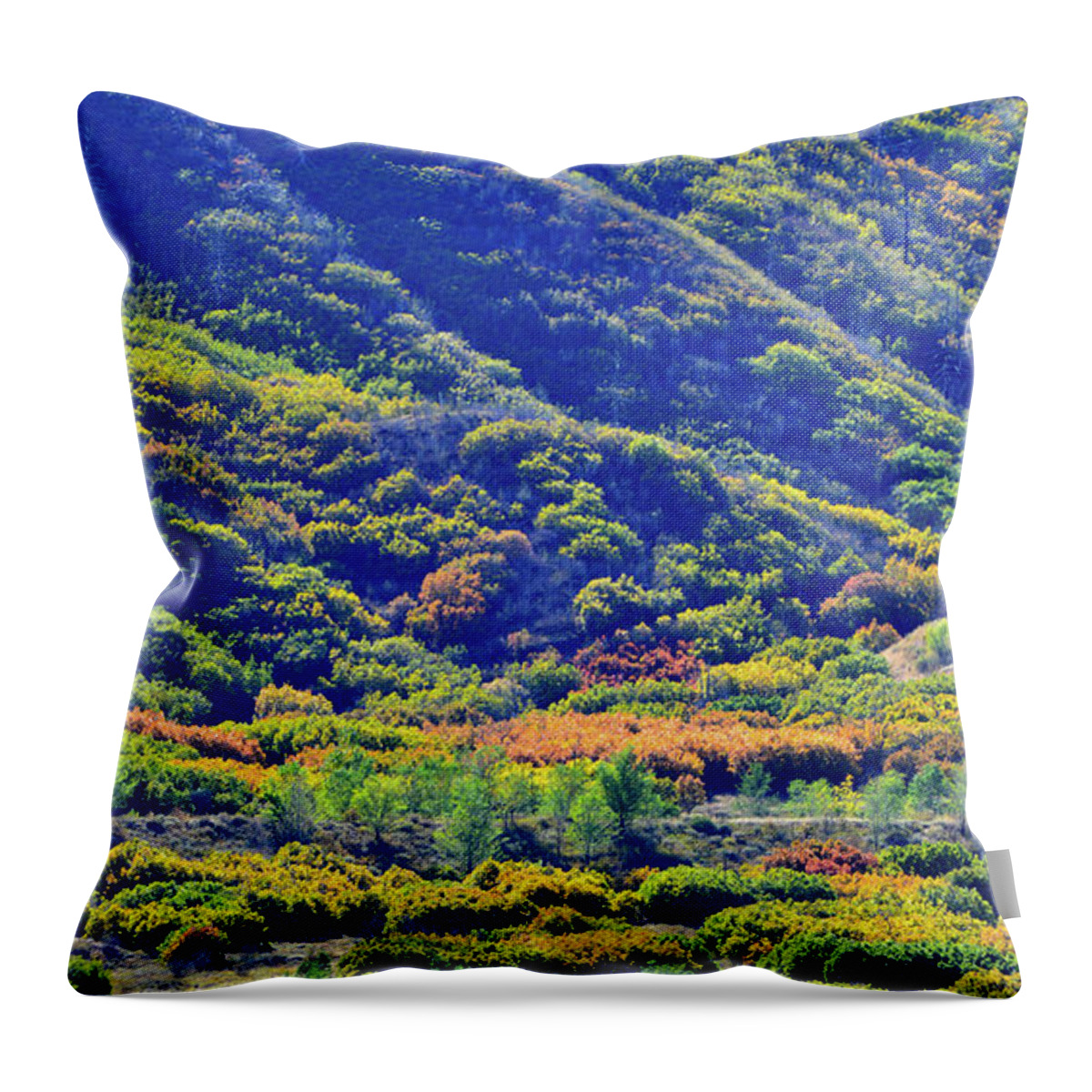 Colorado Throw Pillow featuring the photograph Glenwood Springs Fall Colors on Display by Ray Mathis