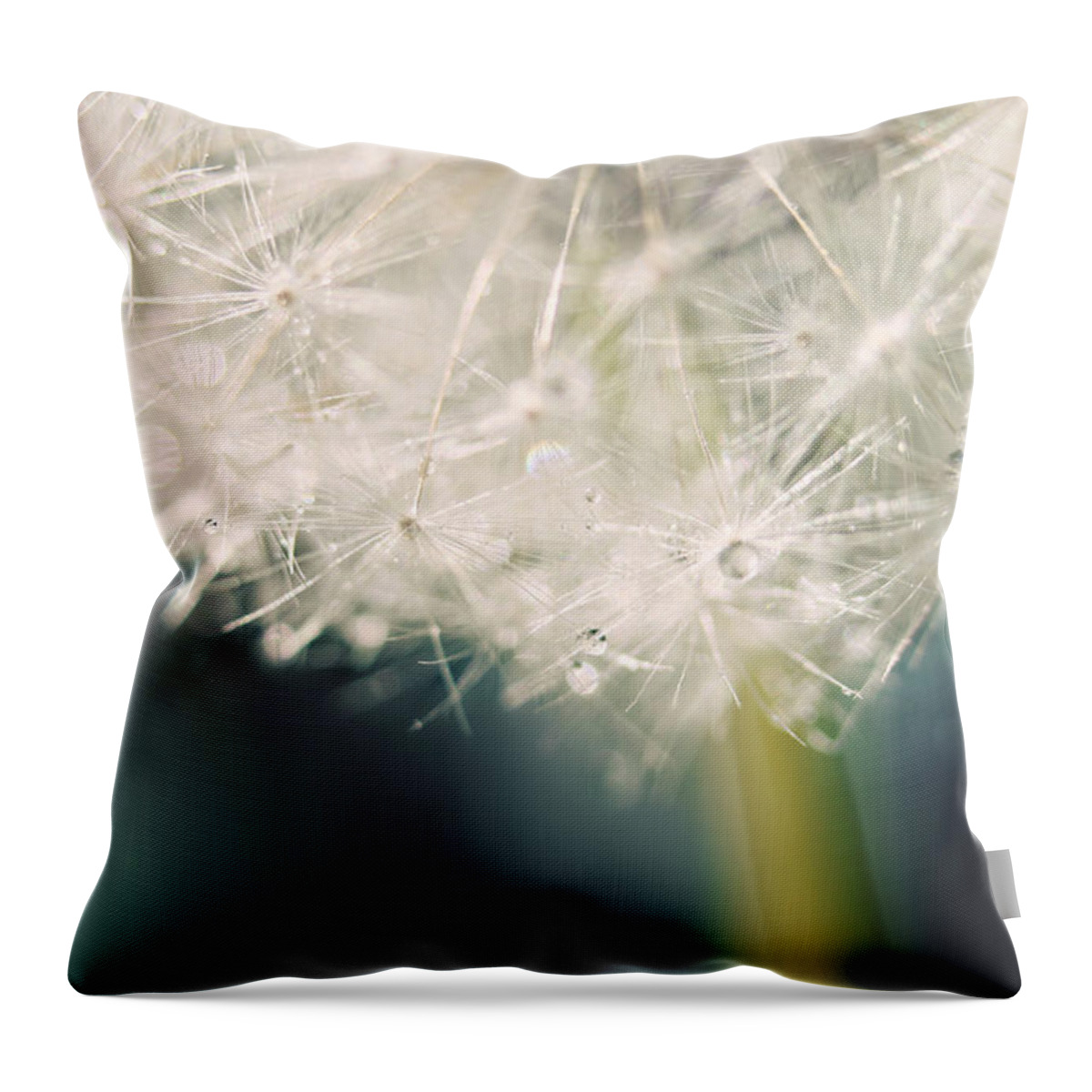 Dandelion Throw Pillow featuring the photograph Glisten by Amy Tyler