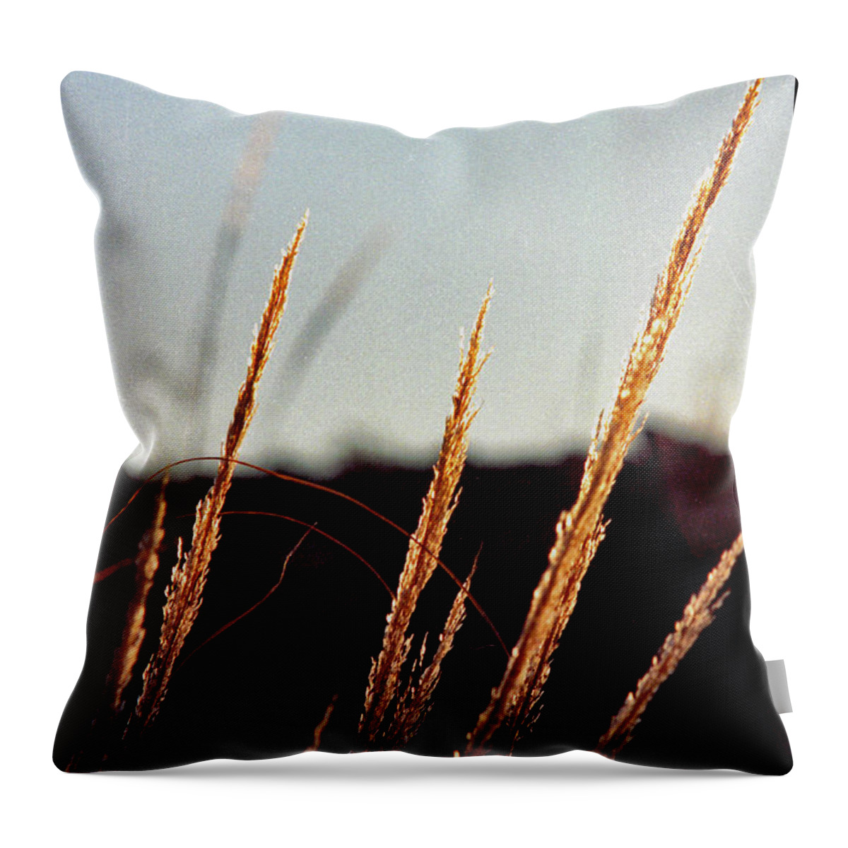 Grass Throw Pillow featuring the photograph Glistening Grass by Randy Oberg