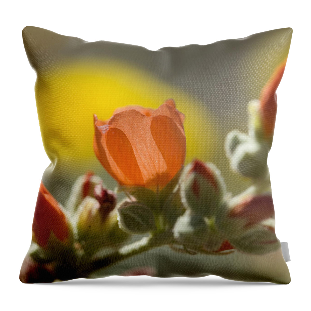 Flowers Throw Pillow featuring the photograph Globe Mallow Glow by Sue Cullumber