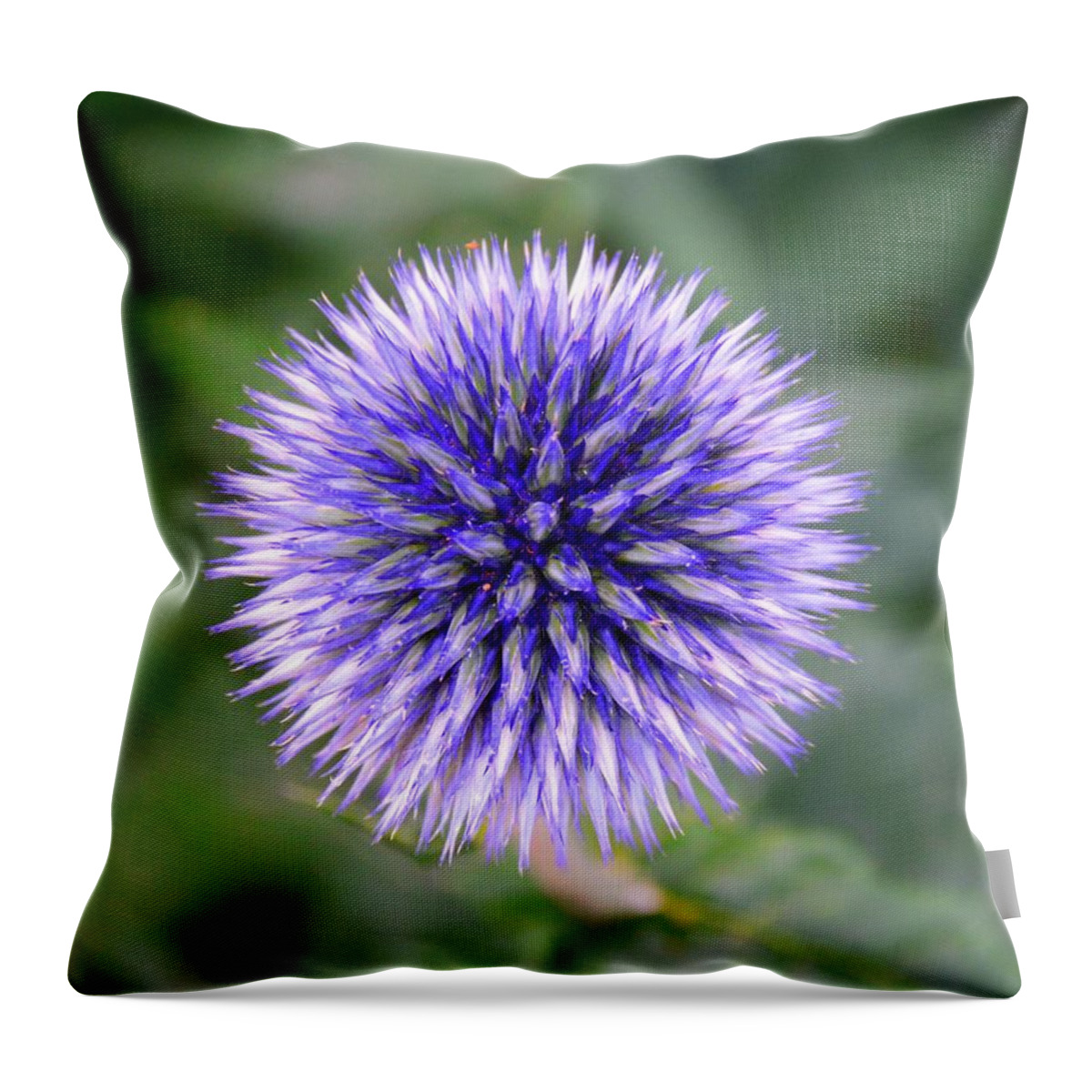 Globe Thistle Throw Pillow featuring the photograph Globe Thistle by Lisa Wooten