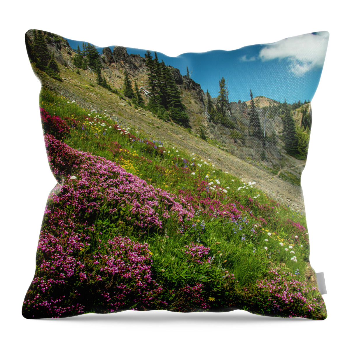 Pct Throw Pillow featuring the photograph Glorious Mountain Heather by Doug Scrima