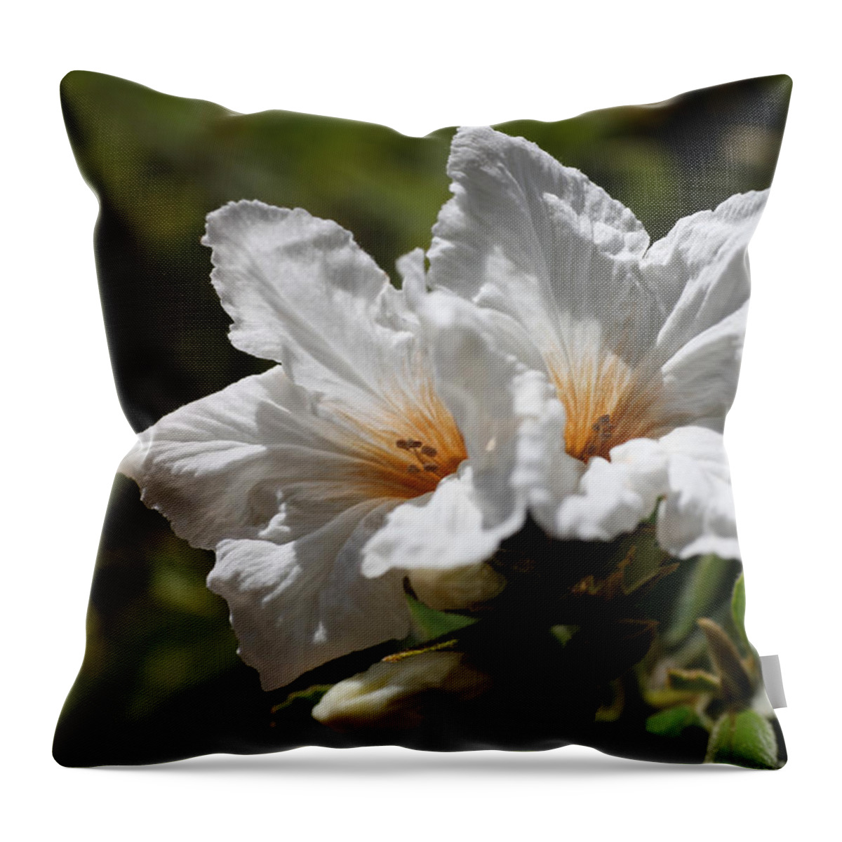 Glorious Throw Pillow featuring the photograph Glorious White Desert Flowers by Tammy Pool