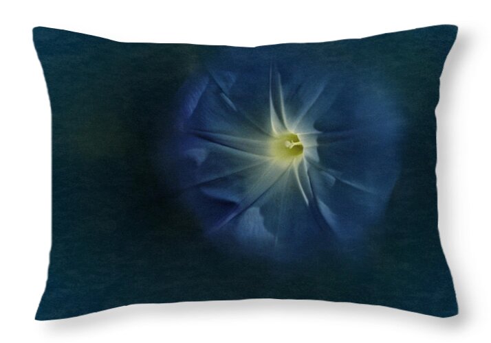 Morning Glory Throw Pillow featuring the photograph Glory Be by Richard Cummings