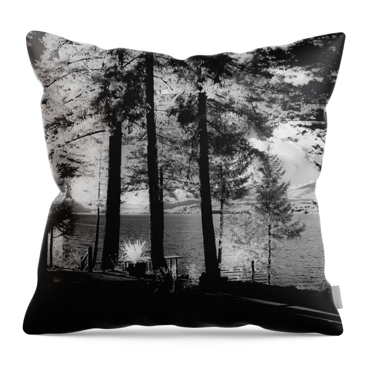 Scenic Throw Pillow featuring the photograph Glow 2 by Lee Santa