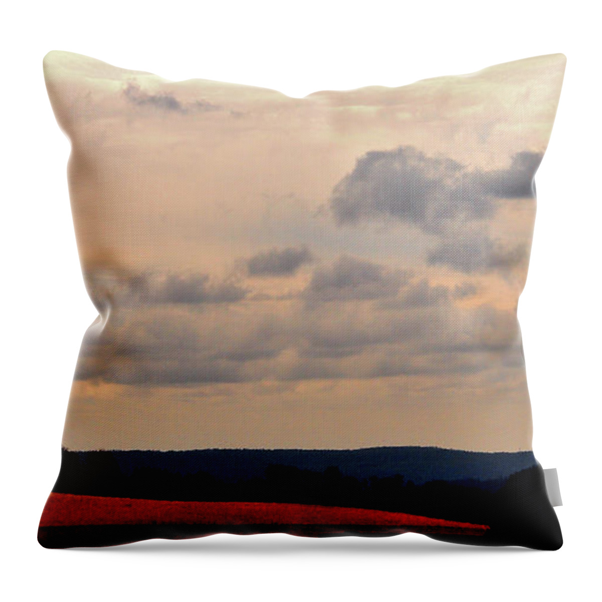 Landscape Throw Pillow featuring the photograph Glowing Field by Lori Tambakis