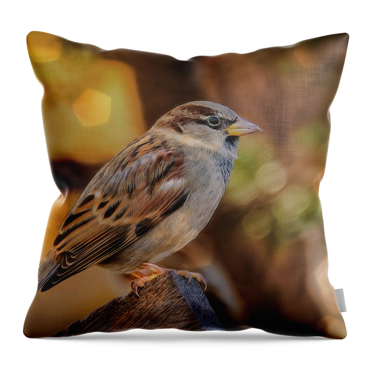 Sparrow Throw Pillow featuring the photograph Glowing Sparrow by Cathy Kovarik