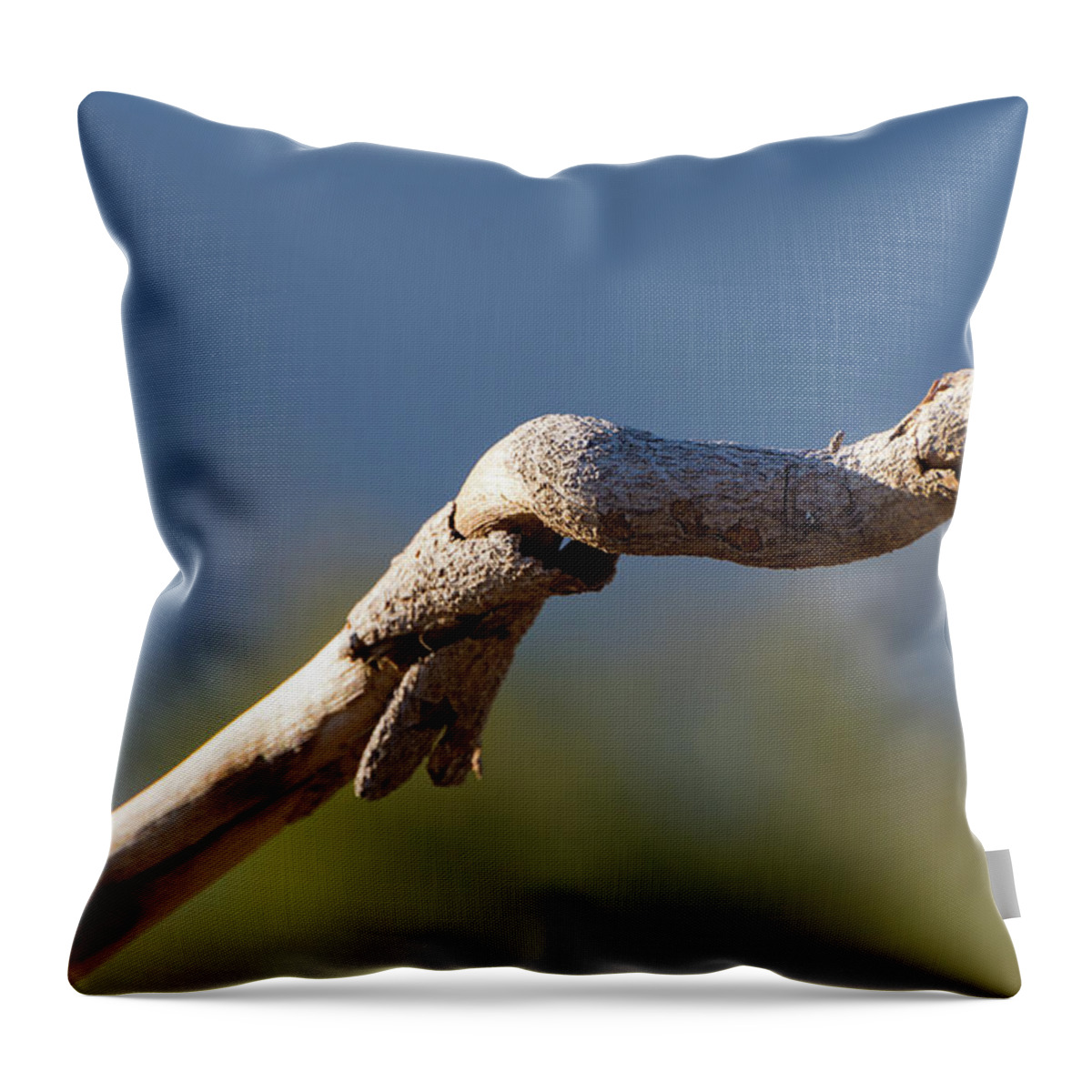 Gnarled Throw Pillow featuring the photograph Gnarled Branch by Douglas Killourie