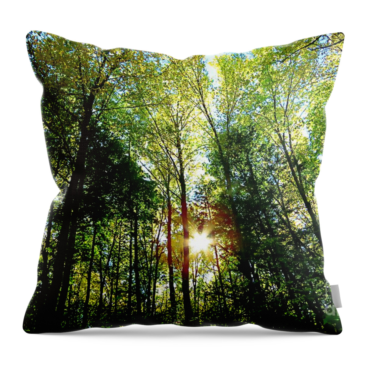 Landscapes Throw Pillow featuring the photograph Go Into The Light by Bonnie J Thompson