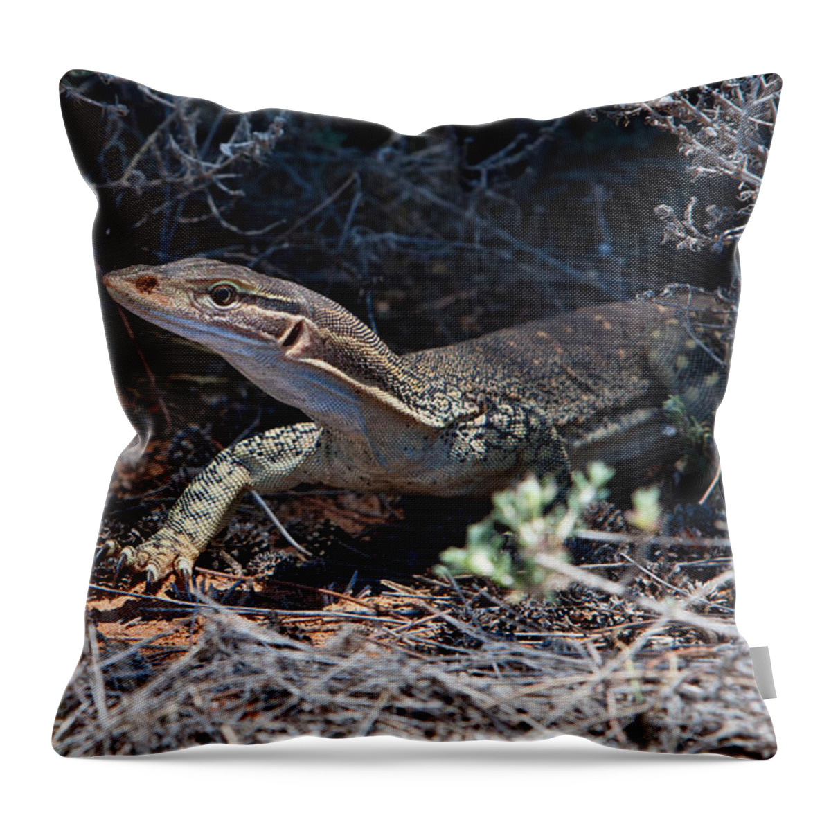 Goanna Lizard Reptile Australian Native Wildlife Outback Lake Mungo Throw Pillow featuring the photograph Goanna by Bill Robinson