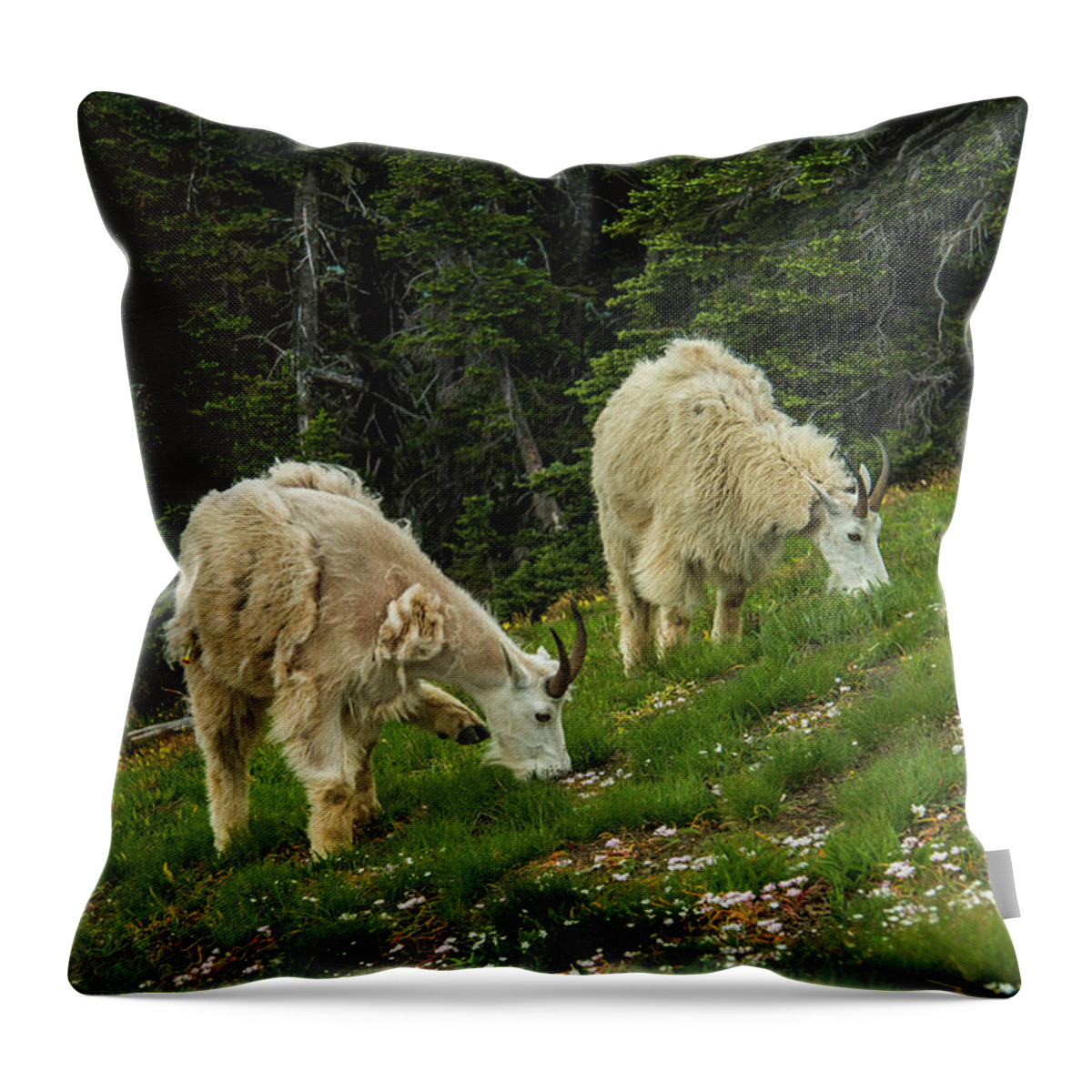 Olympic National Park Throw Pillow featuring the photograph Goat Garden by Doug Scrima