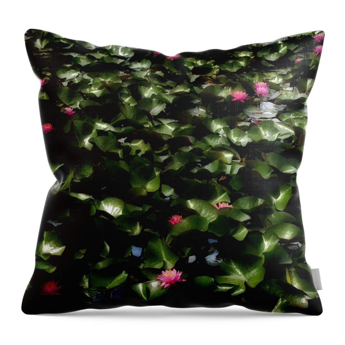 Water Lilies Throw Pillow featuring the photograph God's Canvas by C Renee Martin