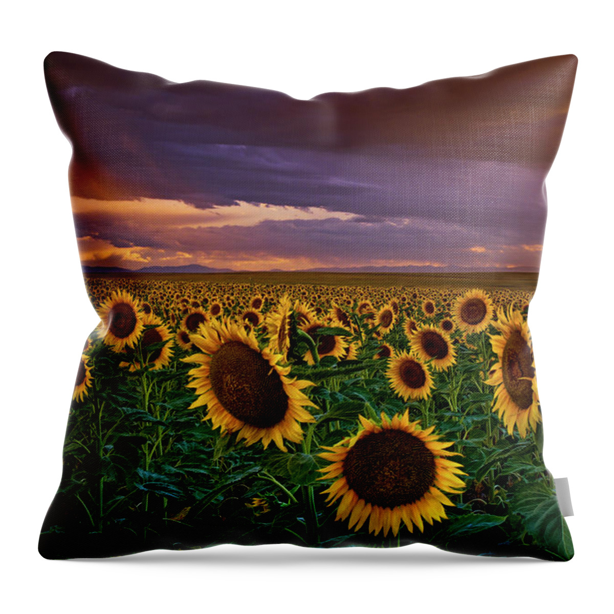 Colorado Throw Pillow featuring the digital art God's Painted Sky by John De Bord