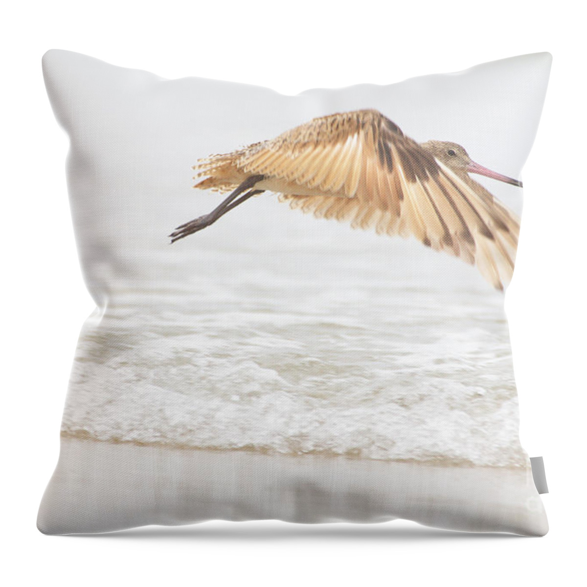Marbled Godwit Throw Pillow featuring the photograph Godwit over the Ocean by Ruth Jolly