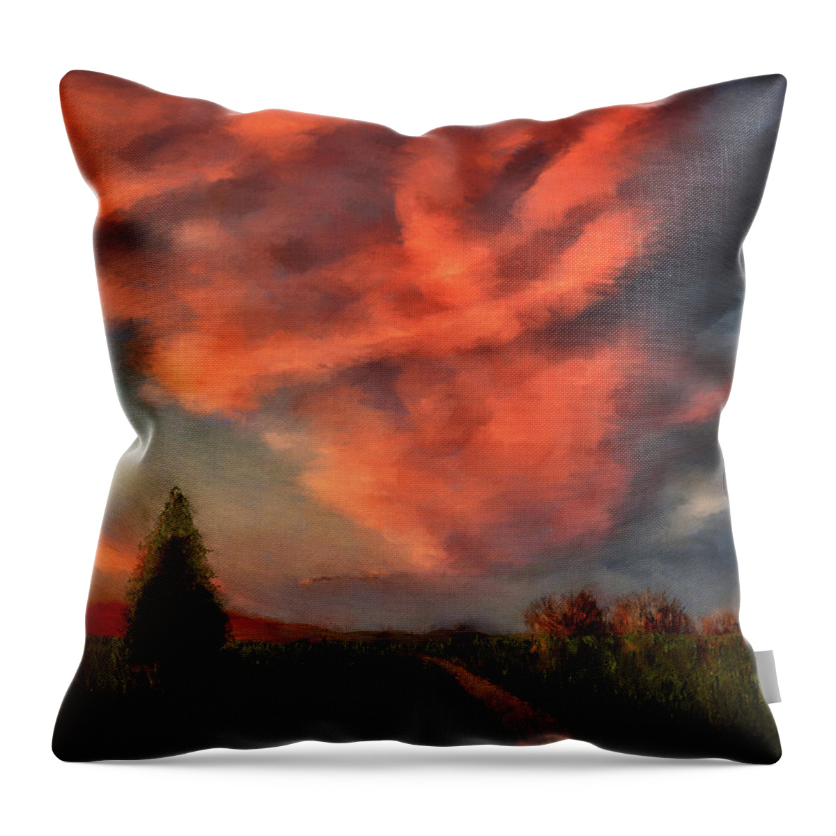 Sunset Throw Pillow featuring the digital art Going Home by Lois Bryan
