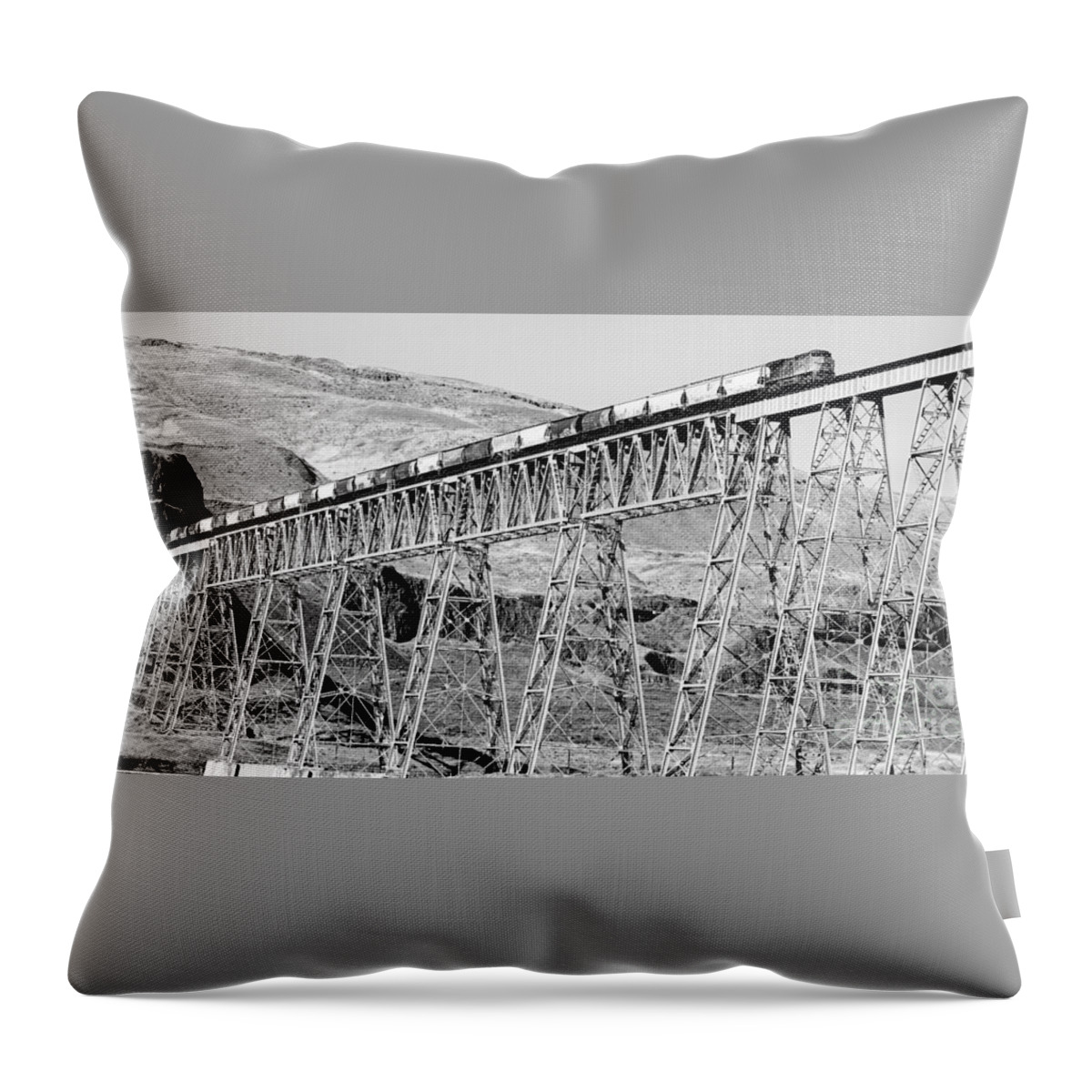 Train Throw Pillow featuring the photograph Going over the Trestle by Merle Grenz