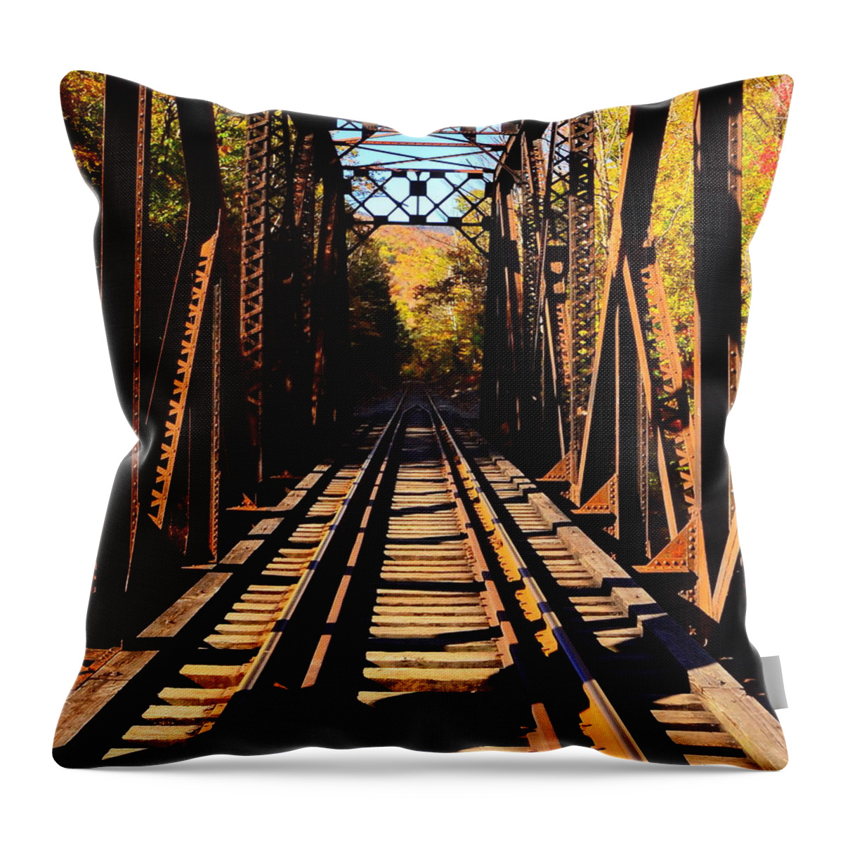 Bridge Throw Pillow featuring the photograph Going Thruogh by Harry Moulton