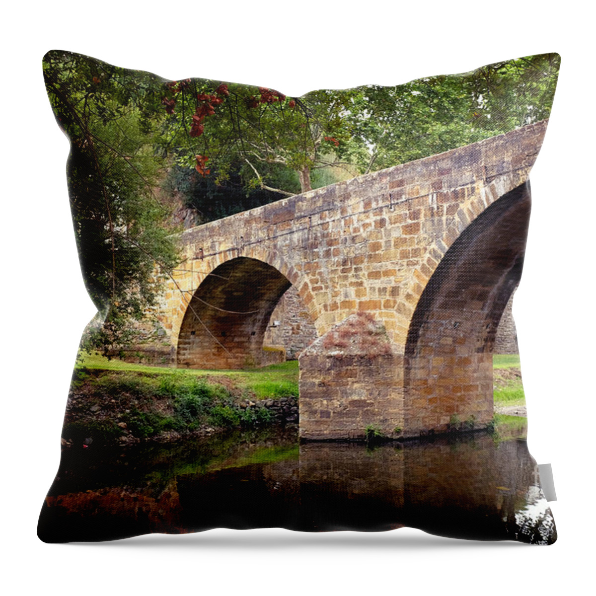 Ancient Throw Pillow featuring the photograph Gois Bridge by Carlos Caetano