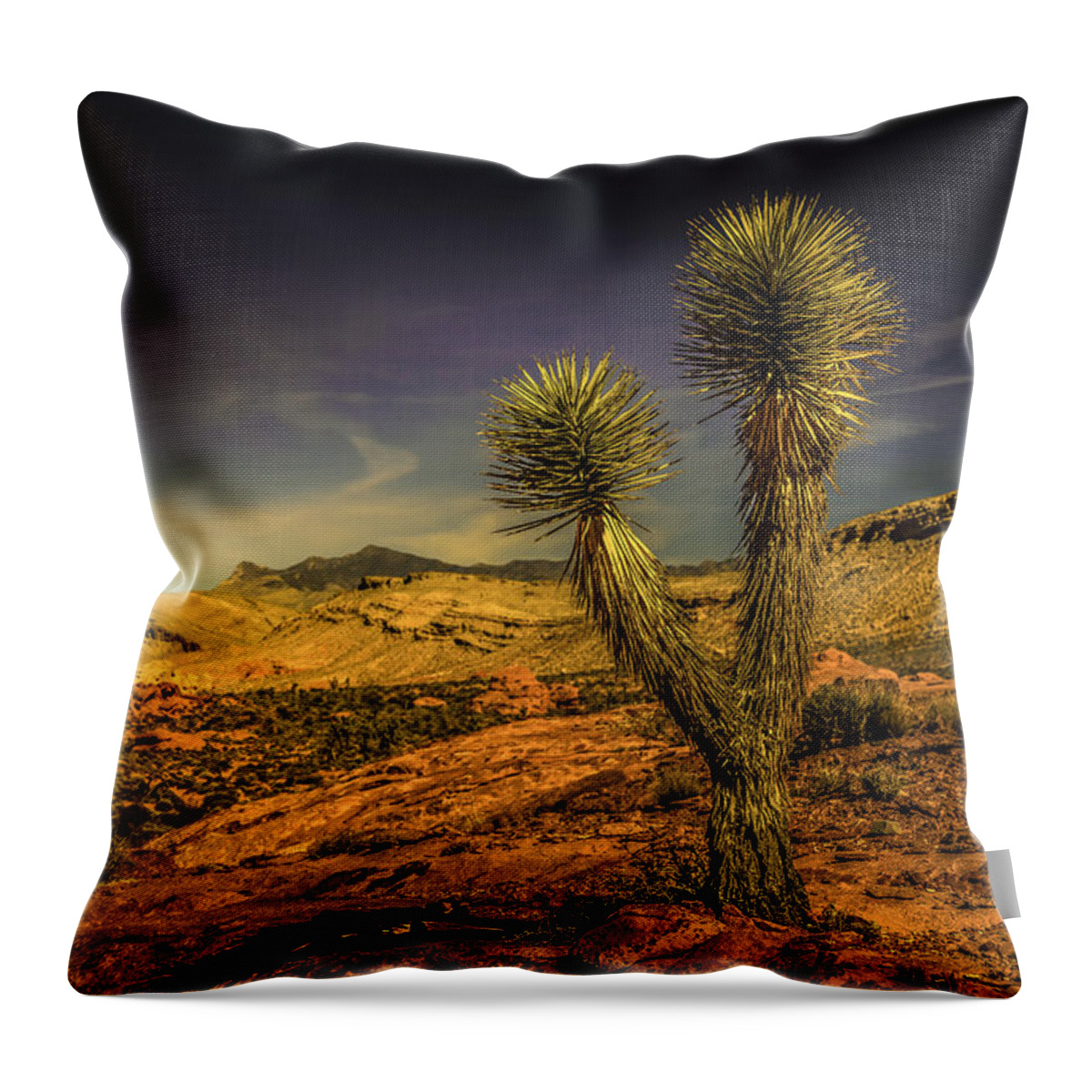 Joshua Throw Pillow featuring the photograph Gold Butte from the Joshua by Janis Knight
