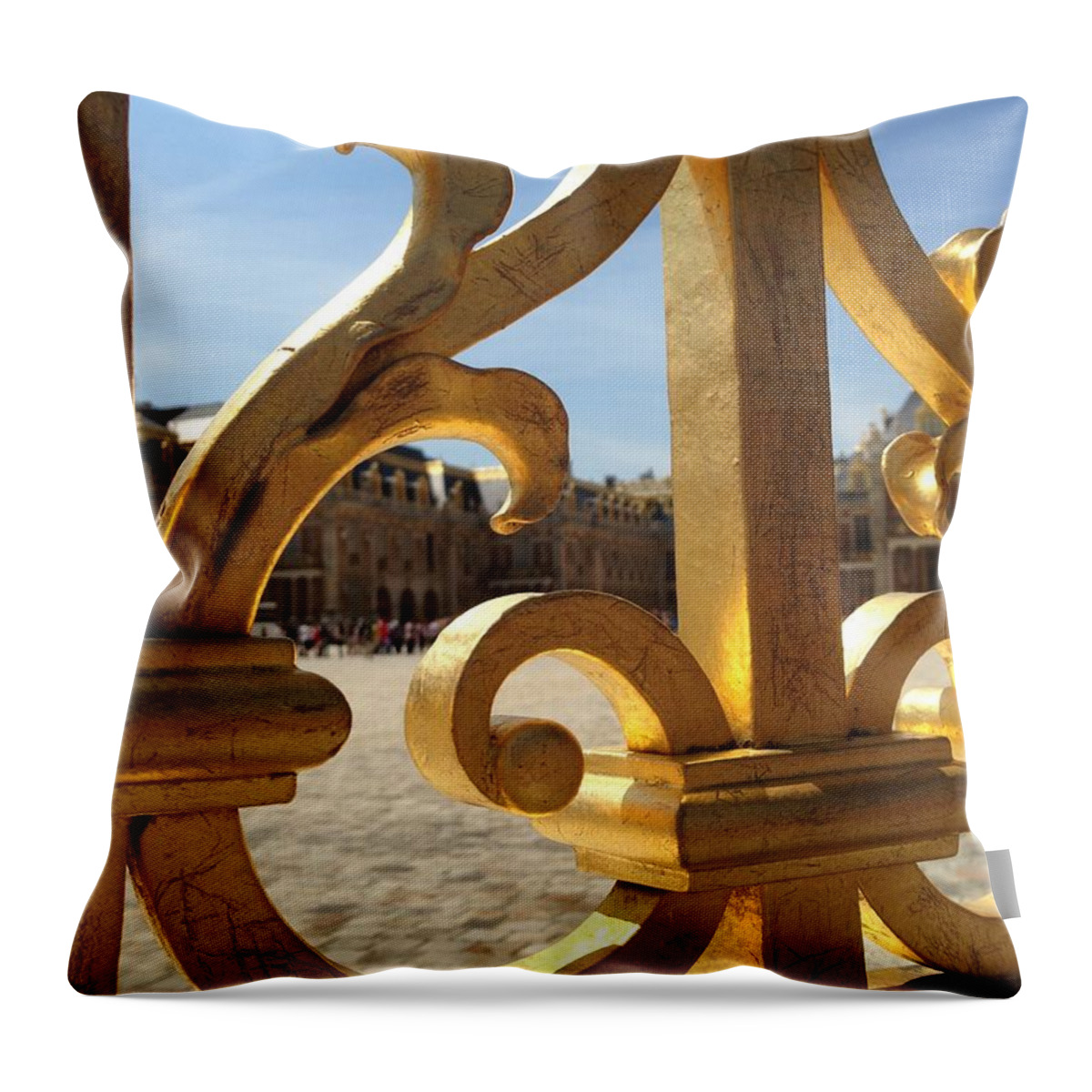 Gold Throw Pillow featuring the photograph Gold Cage by Ethan Crawford
