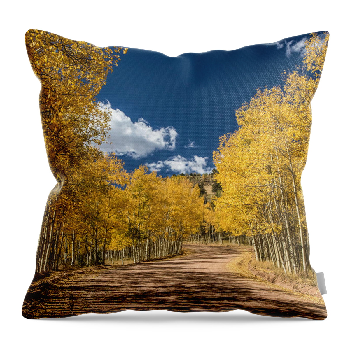 Colorado Throw Pillow featuring the photograph Gold Camp Road by Dawn Key