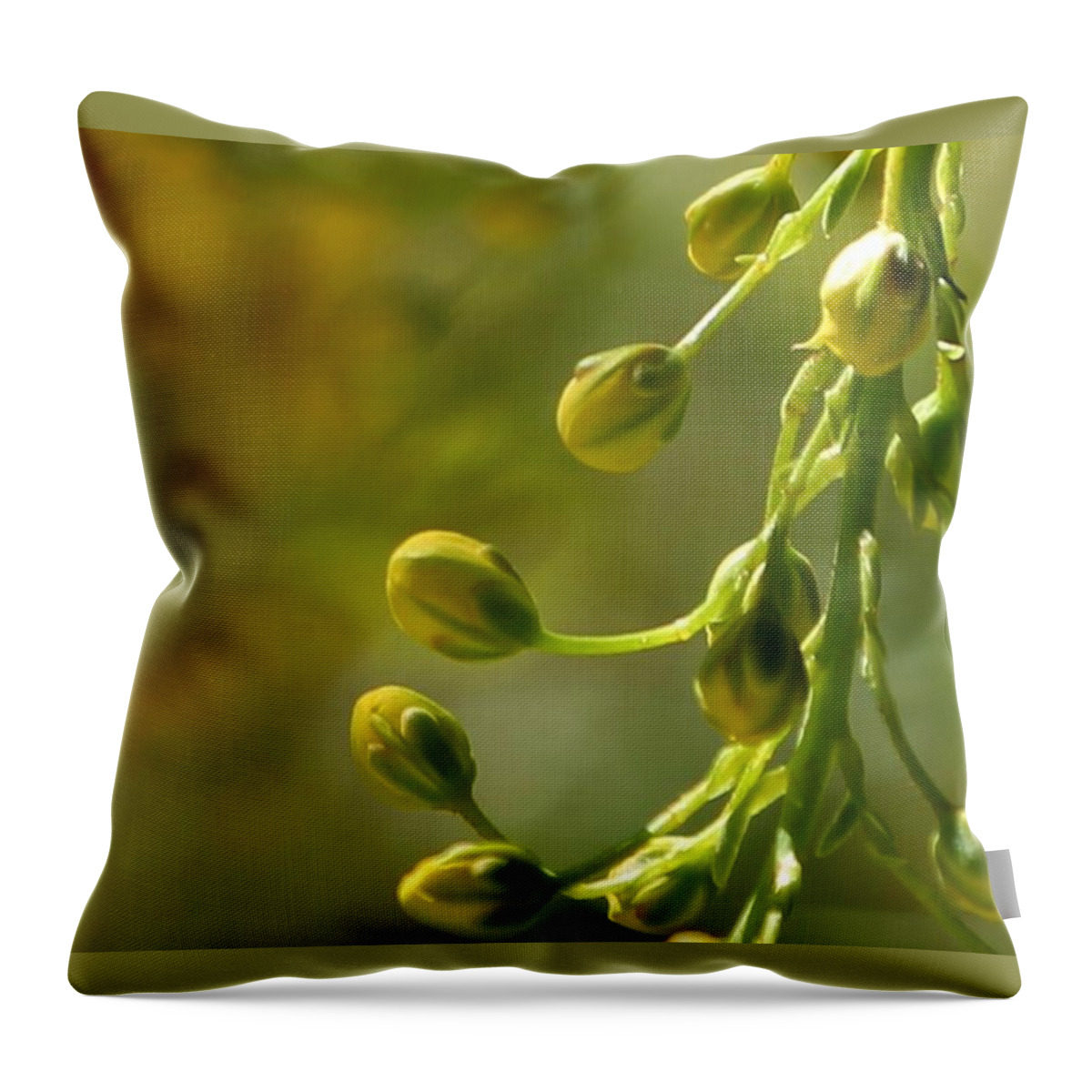 Flowers Throw Pillow featuring the photograph Gold Of Spring by Sheila Ping