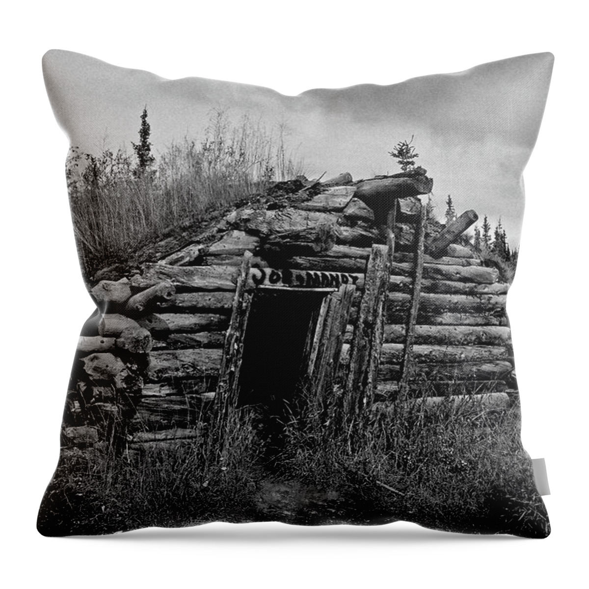 Gold Throw Pillow featuring the photograph Gold Rush Cabin - Yukon by Juergen Weiss