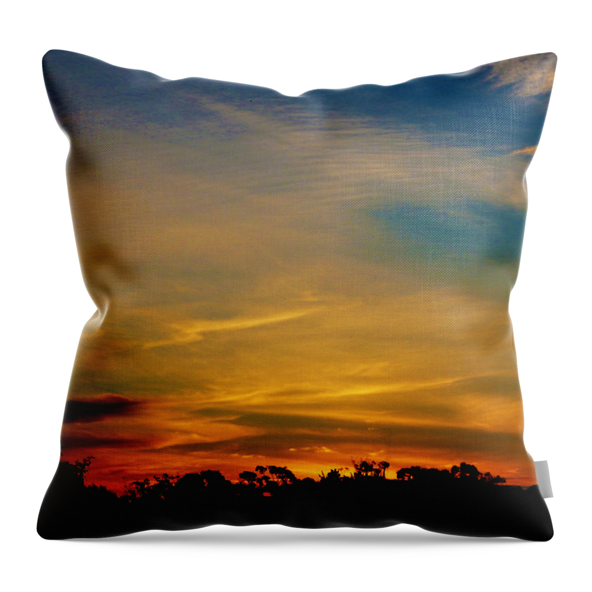 Sunset Throw Pillow featuring the photograph Gold Swords by Mark Blauhoefer