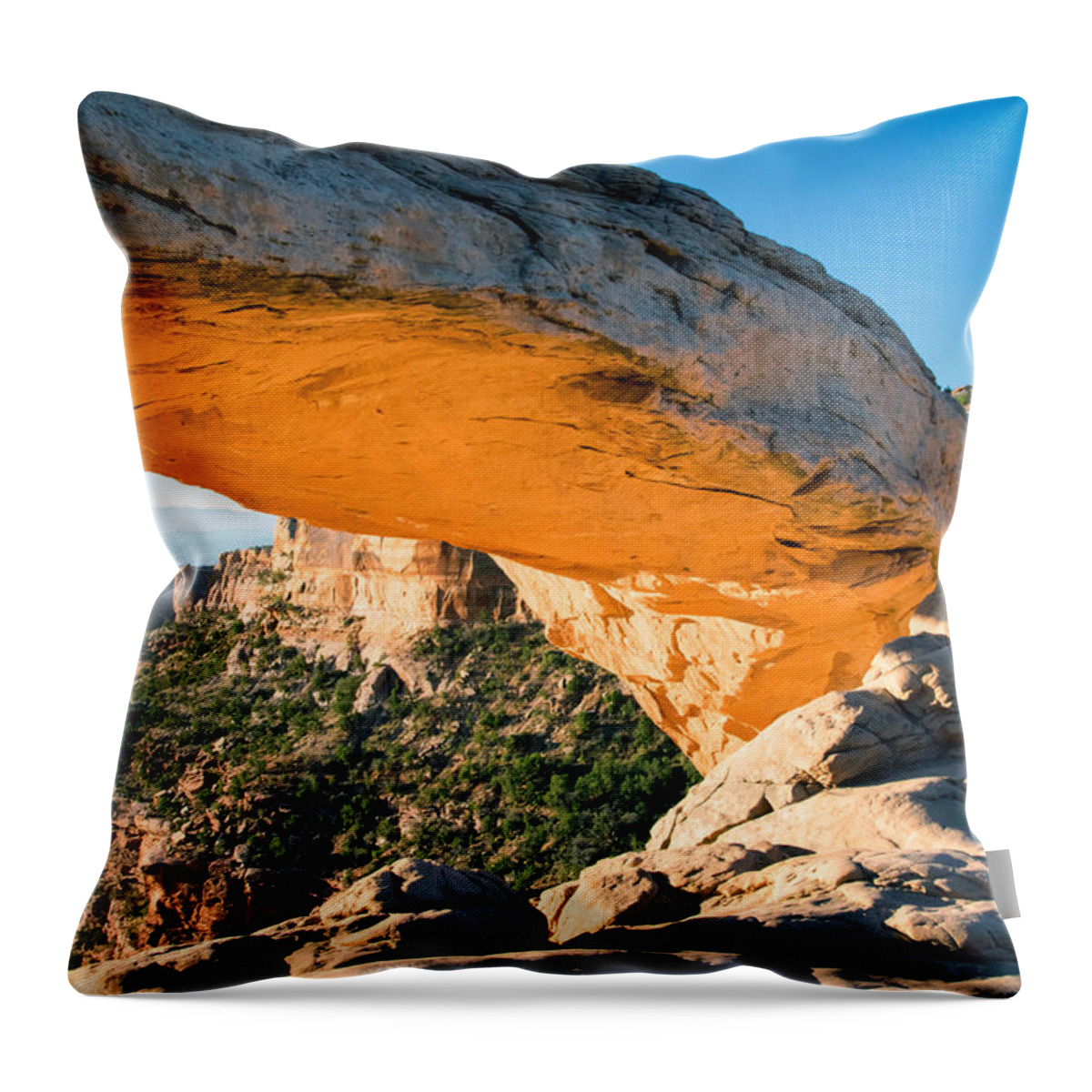 Glowing Throw Pillow featuring the photograph Golden Arch by Nicholas Blackwell