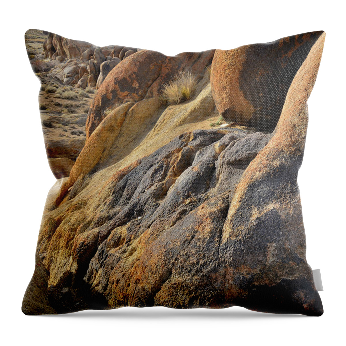 Alabama Hills Throw Pillow featuring the photograph Golden Boulders in Alabama Hills by Ray Mathis