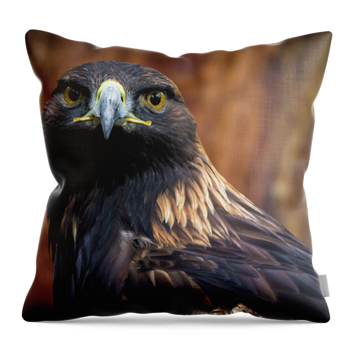 Birds Throw Pillow featuring the photograph Golden Eagle 1 by Jason Brooks