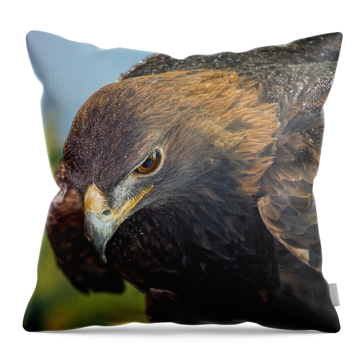 Eagle Throw Pillow featuring the photograph Golden Eagle by Bill and Linda Tiepelman