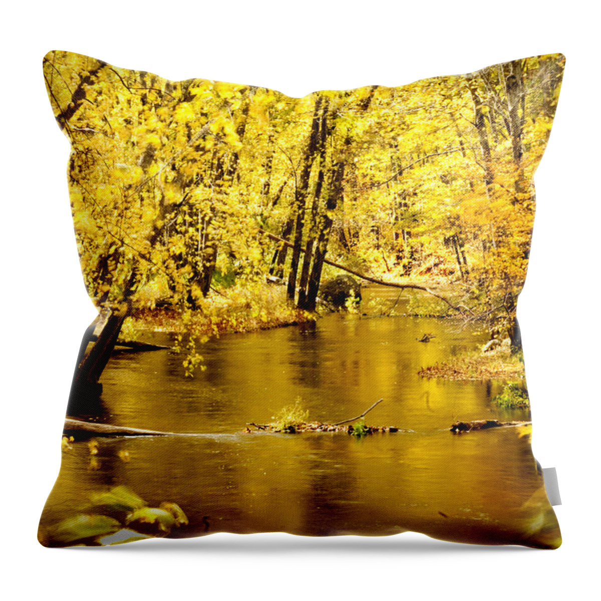 Foliage Throw Pillow featuring the photograph Golden Fall by Greg Fortier