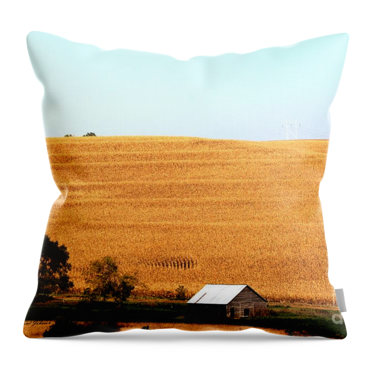 Fall Throw Pillow featuring the photograph Golden Field by Yumi Johnson