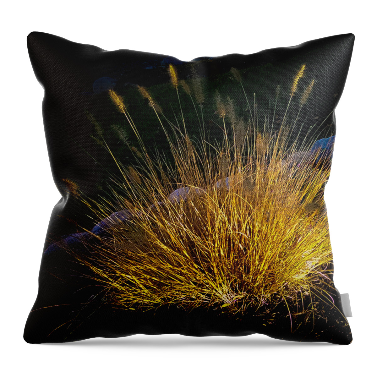2015 Throw Pillow featuring the photograph Golden Fireworks of Fall by George Harth